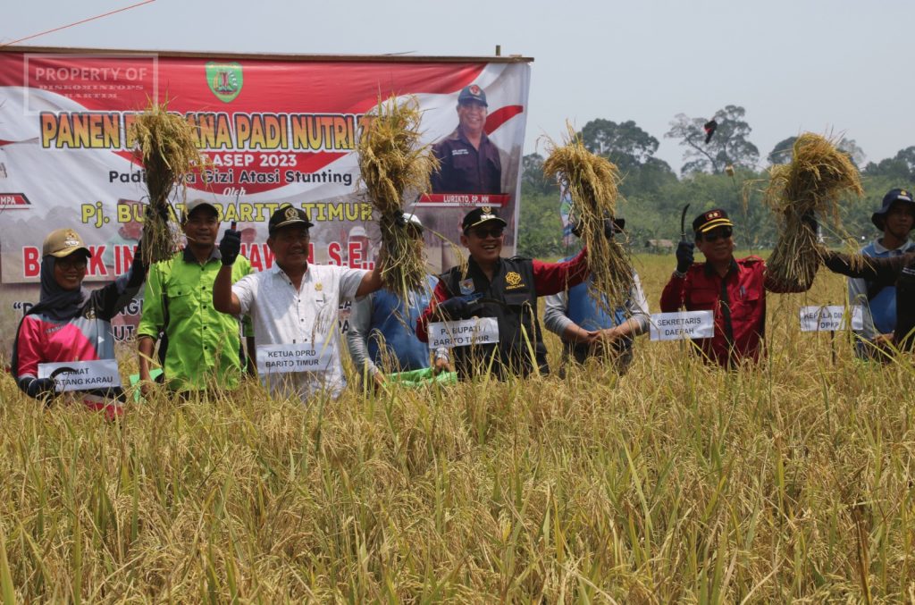 WhatsApp Image 2023-10-06 at 15.43.59(4)