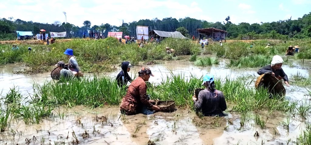 WhatsApp Image 2023-10-30 at 08.41.15