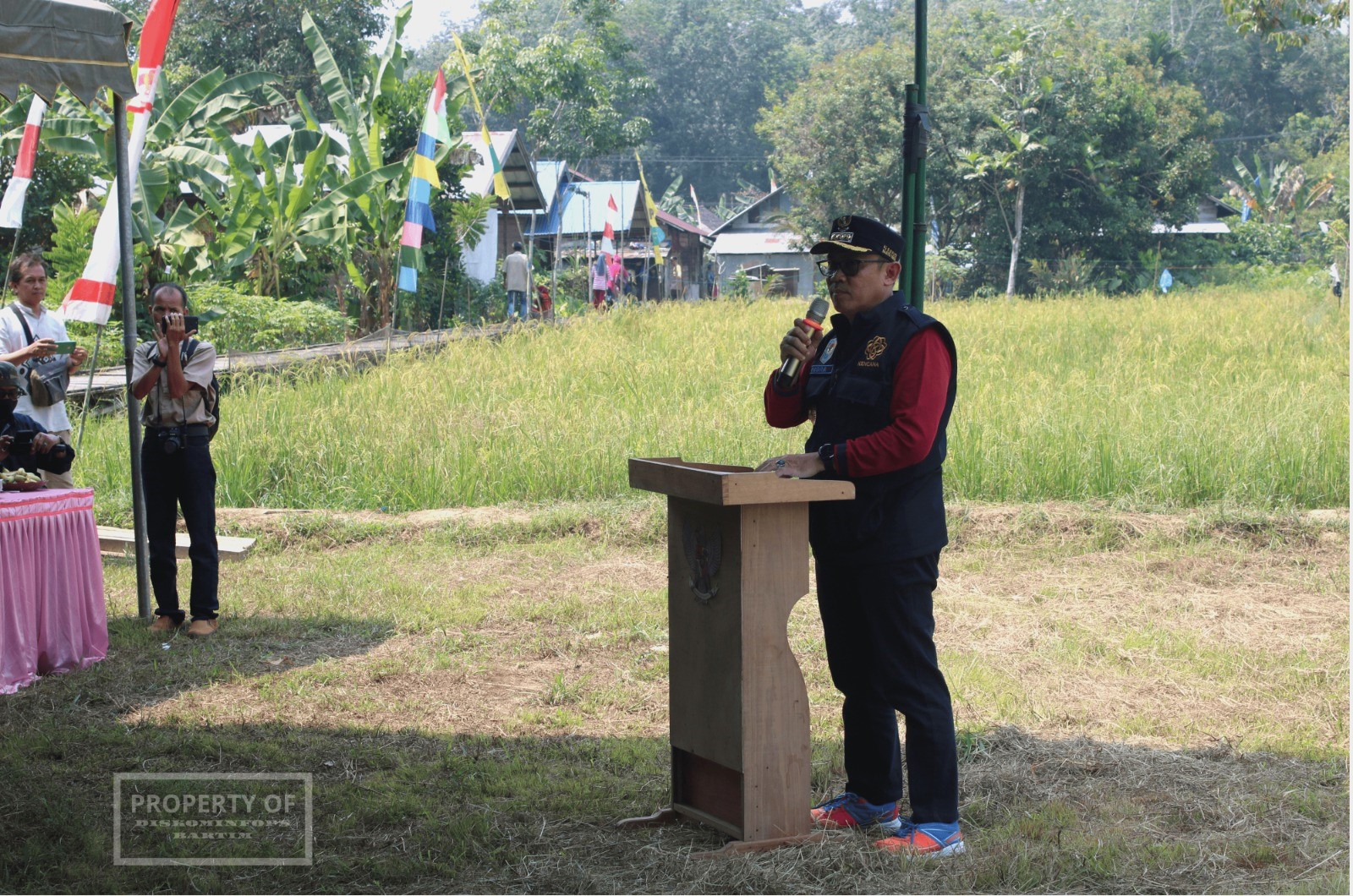 Pj Bupati Bartim Panen Raya Padi Varitas Nutri Zinc Di Pematang Karau