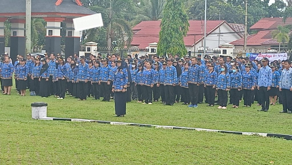 WhatsApp Image 2023-11-29 at 09.36.50(1)