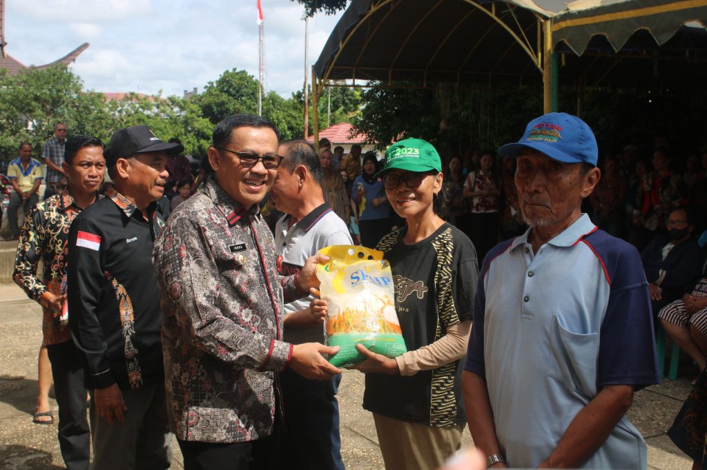 WhatsApp Image 2024-02-22 at 11.31.30