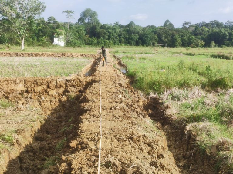 WhatsApp Image 2024-08-24 at 20.58.25