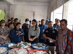 WhatsApp Image 2025-03-27 at 13.43.56