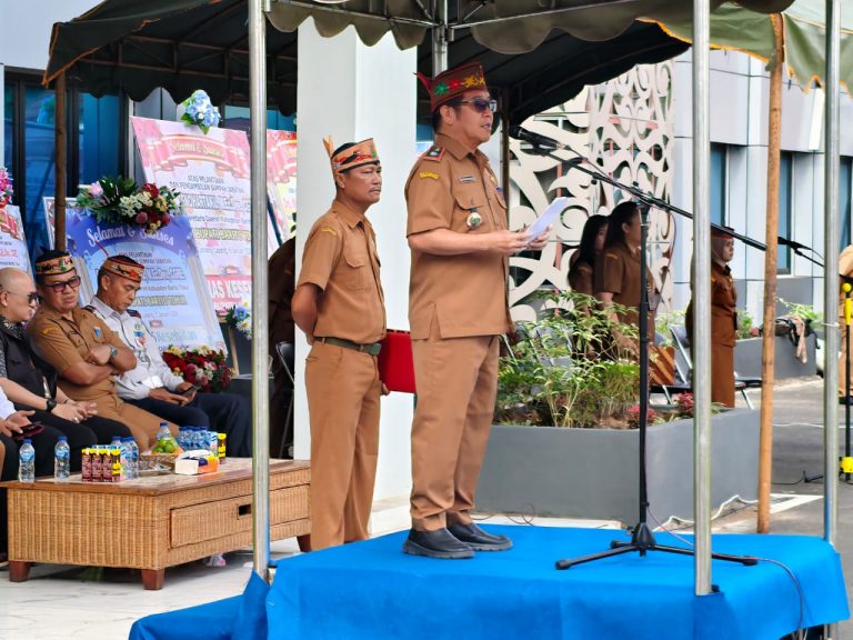 WhatsApp Image 2026-01-06 at 08.17.46 (1)