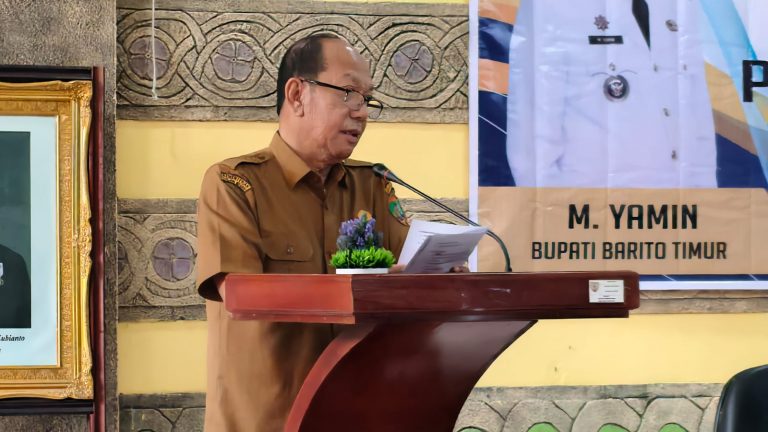 WhatsApp Image 2026-03-10 at 13.13.26