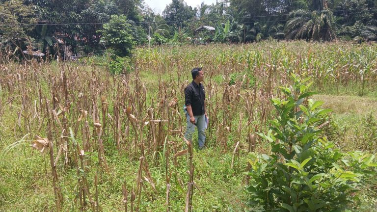 WhatsApp Image 2026-03-10 at 21.02.03