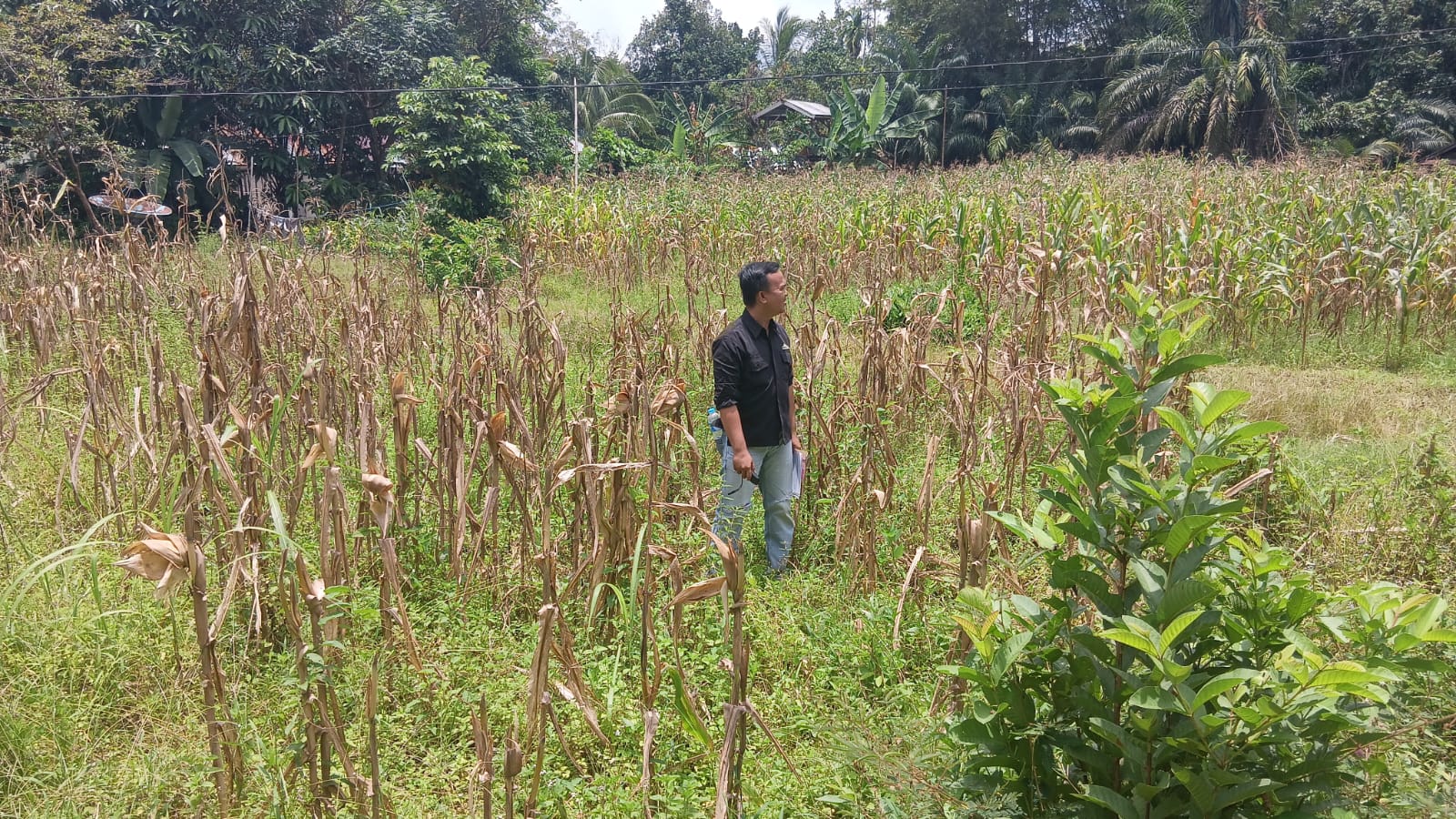 WhatsApp Image 2026-03-10 at 21.02.03