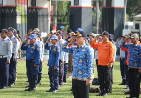 WhatsApp Image 2026-04-27 at 08.51.58(4)