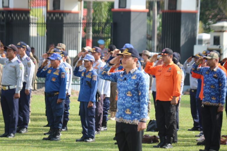 WhatsApp Image 2026-04-27 at 08.51.58(4)