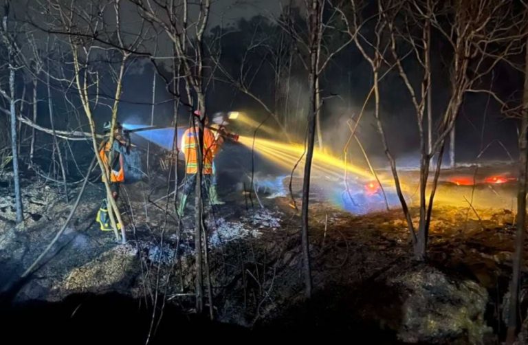 Screenshot_20260826_080442_Samsung Browser